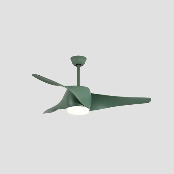 Vintage Akash Ceiling Fan Light