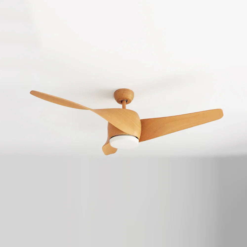 Vintage Akash Ceiling Fan Light