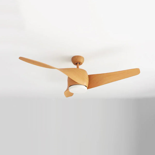 Vintage Akash Ceiling Fan Light