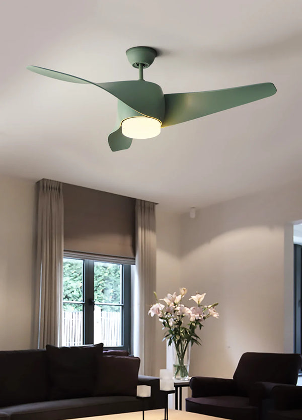 Vintage Akash Ceiling Fan Light