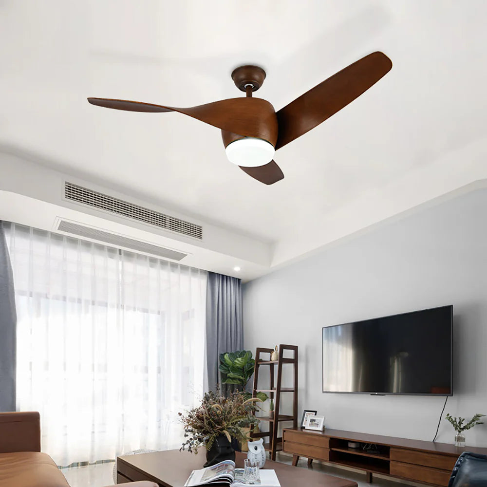 Vintage Akash Ceiling Fan Light