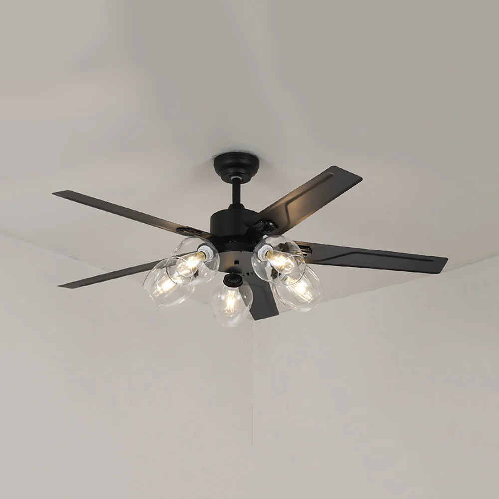 Vintage Glass Ball Ceiling Fan Light