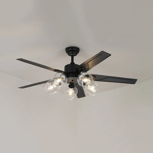 Vintage Glass Ball Ceiling Fan Light