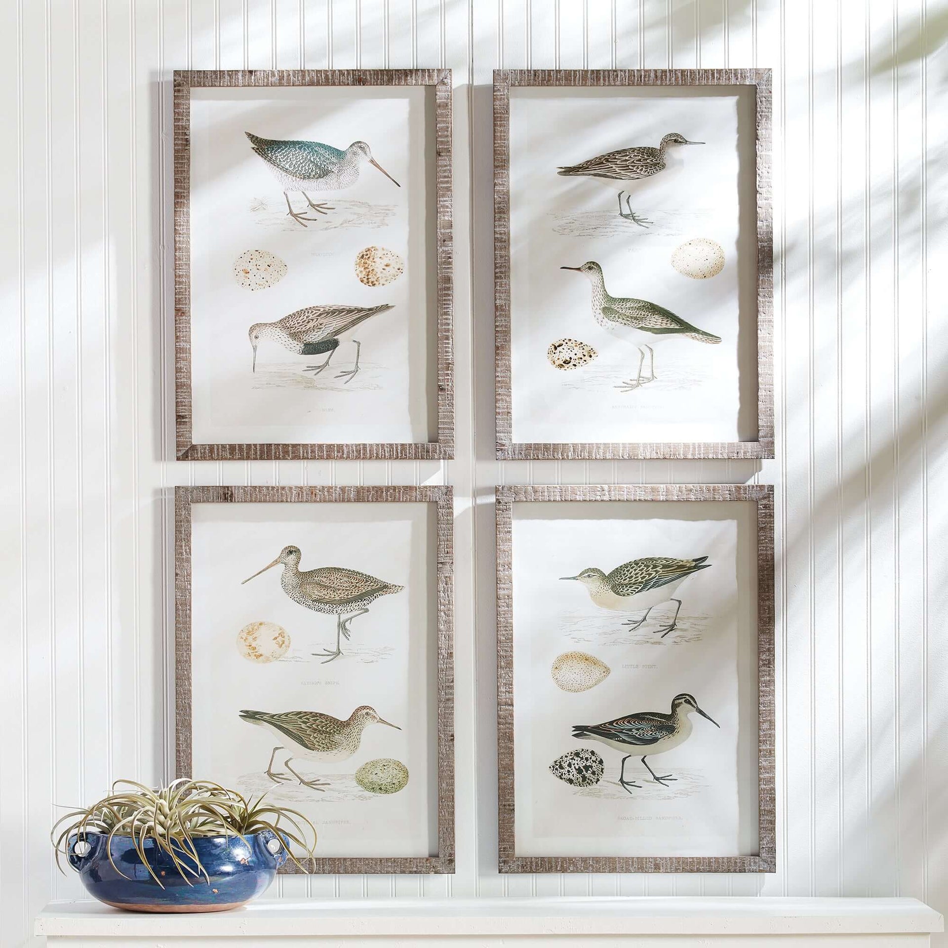 Vintage Coastal Bird Prints Wall Art (Set of 4)