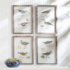 Vintage Coastal Bird Prints Wall Art (Set of 4)