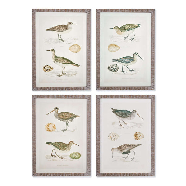 Vintage Coastal Bird Prints Wall Art (Set of 4)