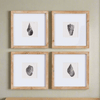 Vintage Coastal Seashell Wall Art Set (Set of 4)