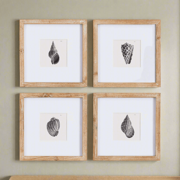 Vintage Coastal Seashell Wall Art Set (Set of 4)