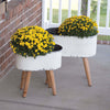Vintage Embossed Metal Planters with Wood Legs (Set of 2)