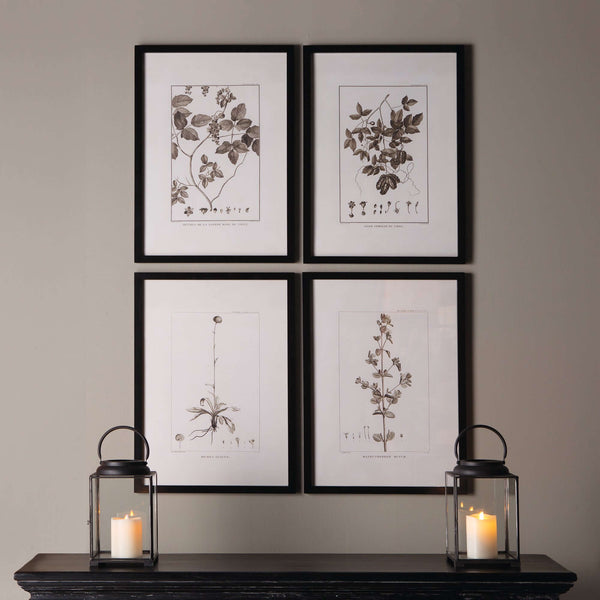 Vintage Monochromatic Botanical Herb Wall Art (Set of 4)