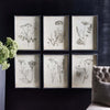 Vintage Monochromatic Botanical Wildflower Wall Art (Set of 6)