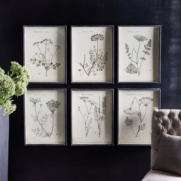 Vintage Monochromatic Botanical Wildflower Wall Art (Set of 6)