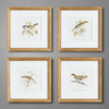 Vintage Songbird Prints Wall Art (Set of 4)