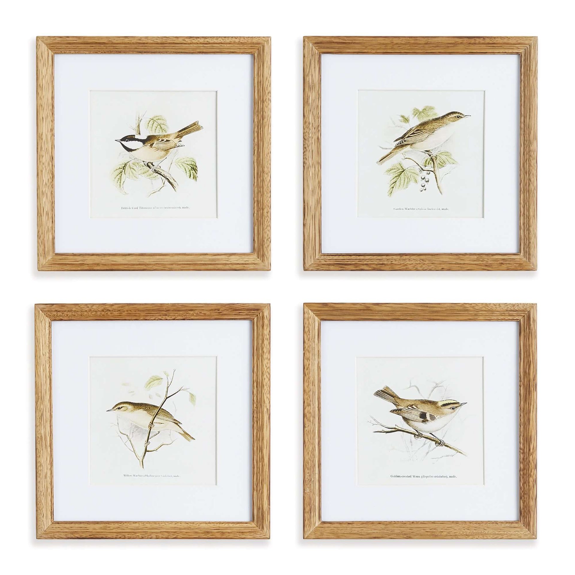 Vintage Songbird Prints Wall Art (Set of 4)