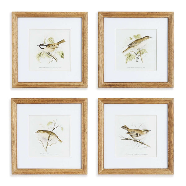 Vintage Songbird Prints Wall Art (Set of 4)