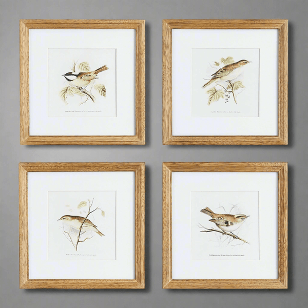 Vintage Songbird Prints Wall Art (Set of 4)