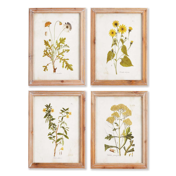 Vintage Wildflower Botanical Prints Set in Rustic Wood Frames (Set of 4)