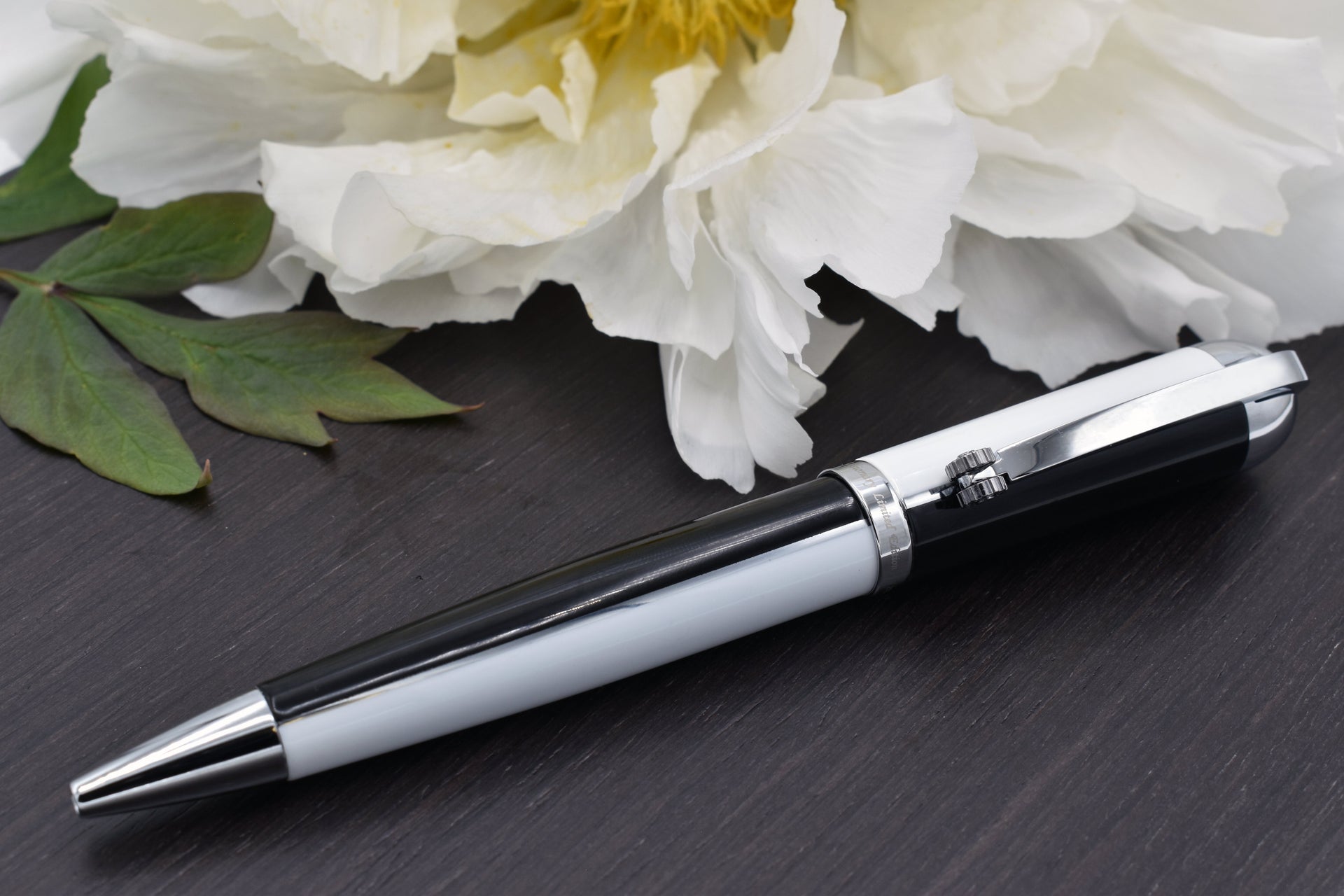 Visionary® Brass & Aluminum Enameled Ballpoint Pen - Black / White