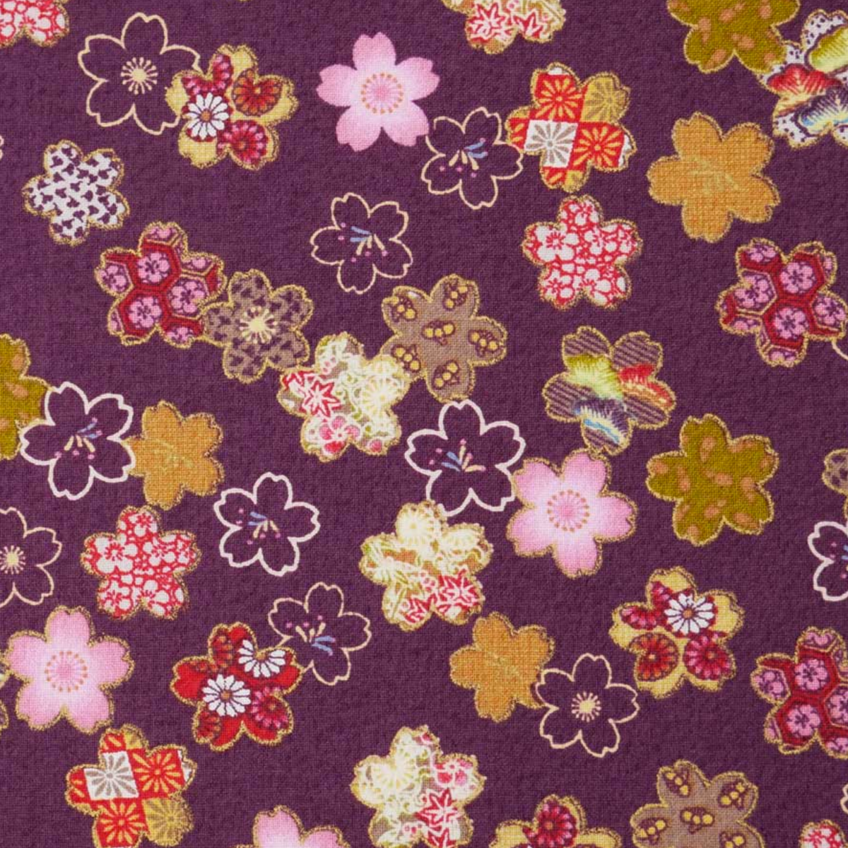 Japanese Plum