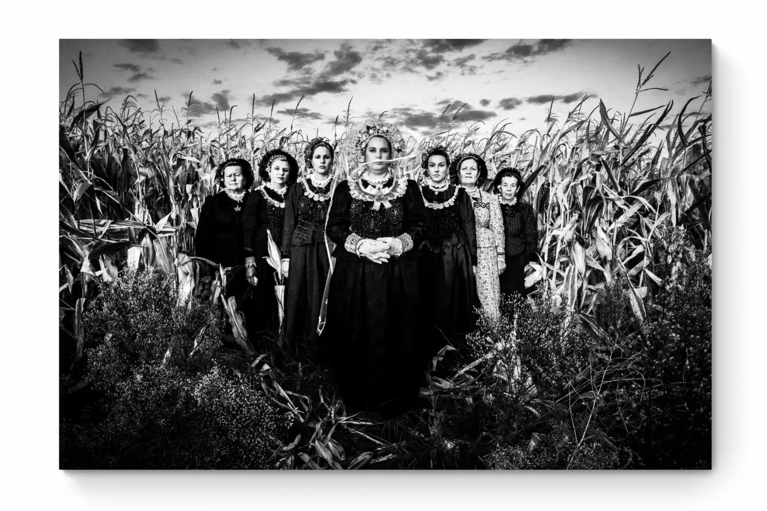 Women in Cornfield | Greece | Black & White Art Wall