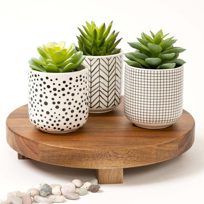 Set of 3 artificial succulents in black and white pots 4.5