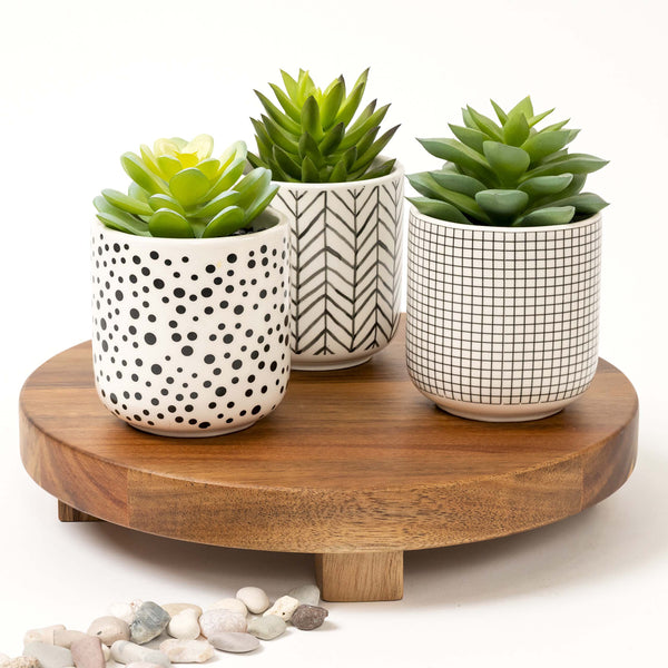 Set of 3 artificial succulents in black and white pots 4.5