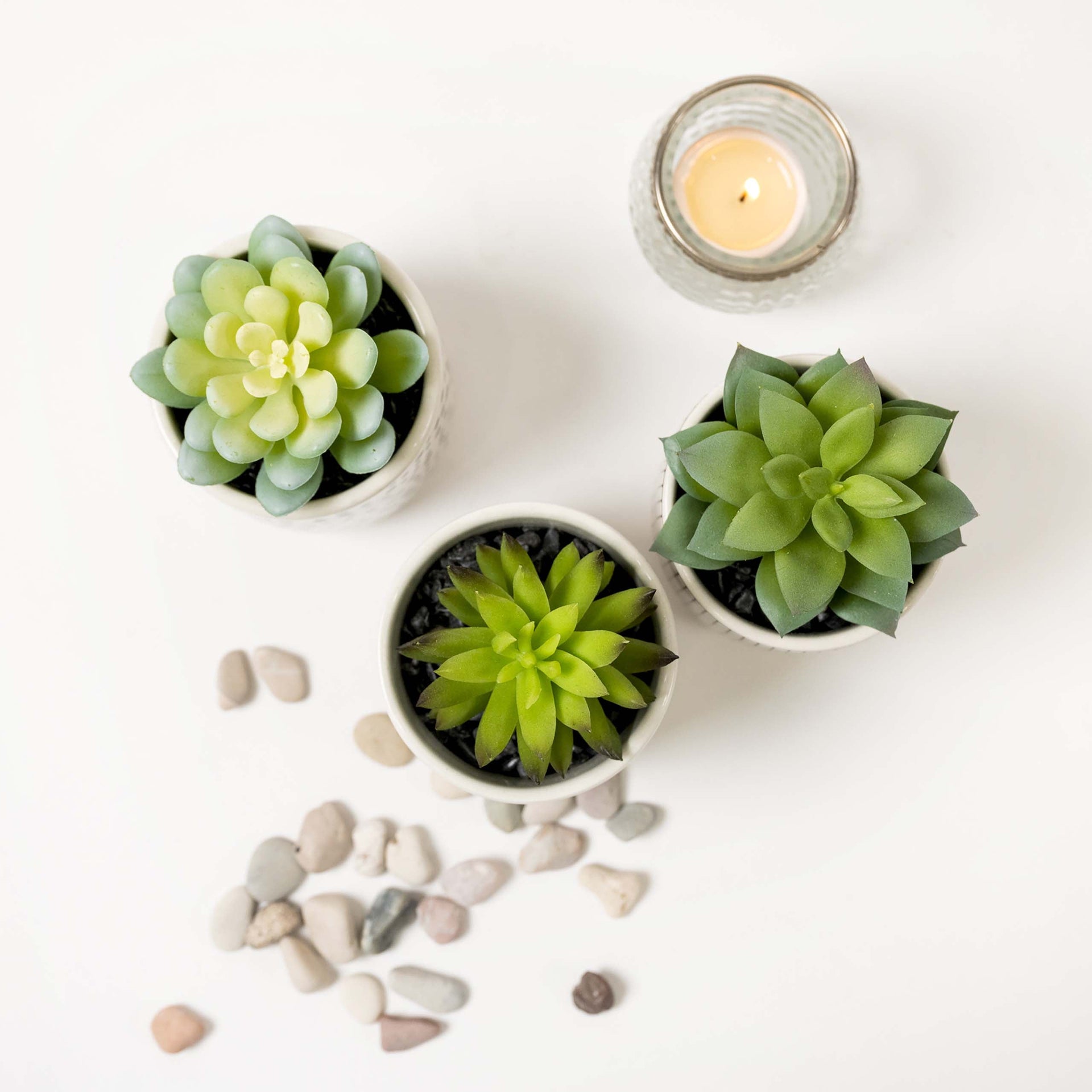 Set of 3 artificial succulents in black and white pots 4.5