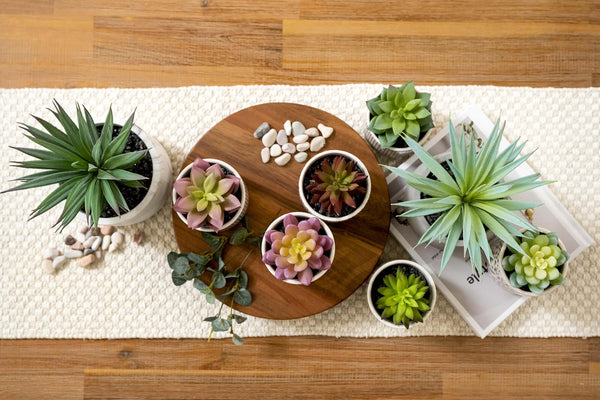 Round riser pedestal board | acacia wood display board | acacia wood riser - Gifts for You 'n Me