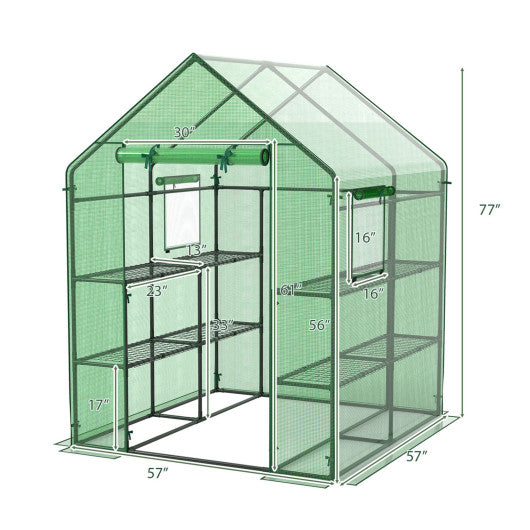 Walk-in Greenhouse 56 x 56 x 77 Inch Gardening with Observation Windows-Green