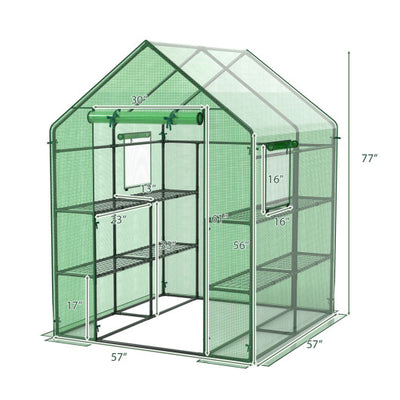 Walk-in Greenhouse 56 x 56 x 77 Inch Gardening with Observation Windows-Green
