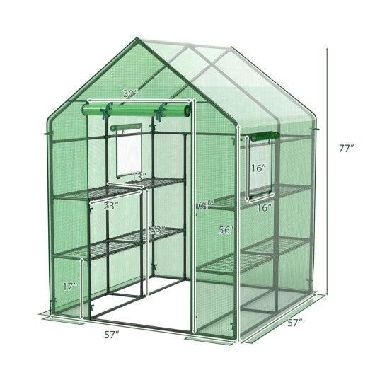 Walk-in Greenhouse 56 x 56 x 77 Inch Gardening with Observation Windows-Green