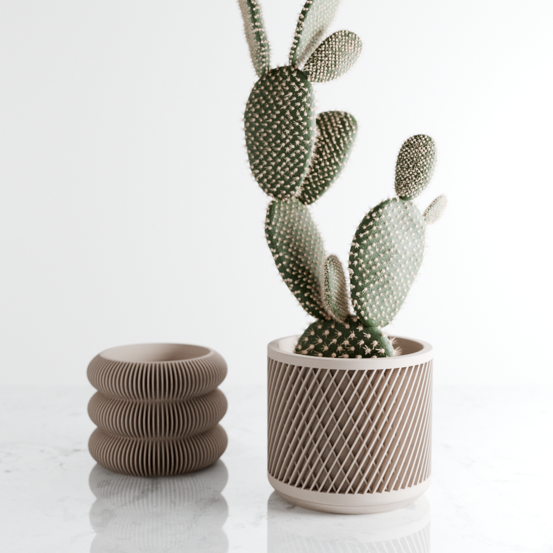 Decorative cactus plant in a textured pot on a white background