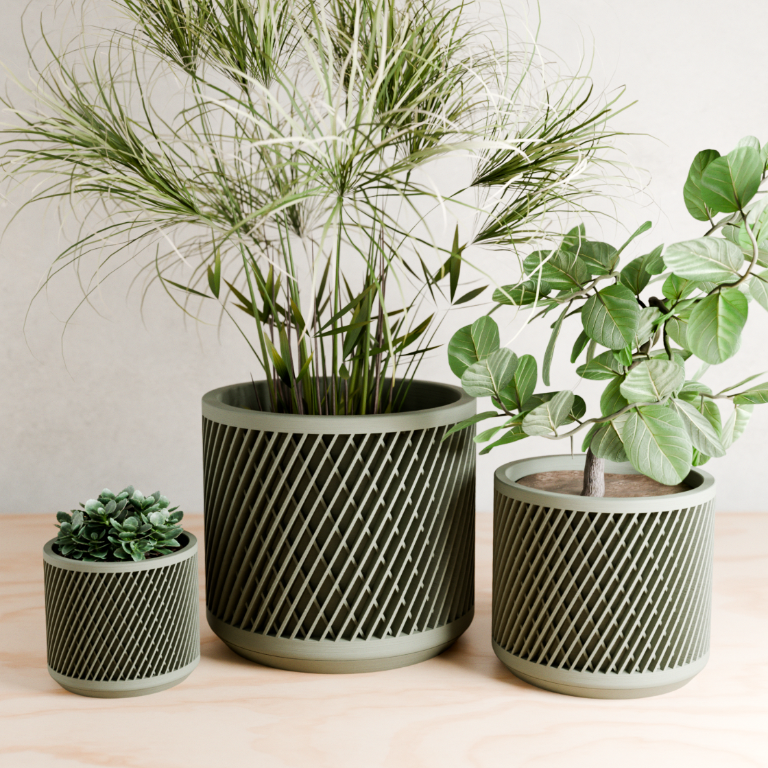 Three potted plants in decorative pots on a wooden surface with a light background