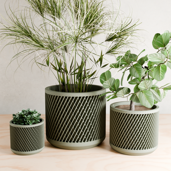 Three potted plants in decorative pots on a wooden surface with a light background