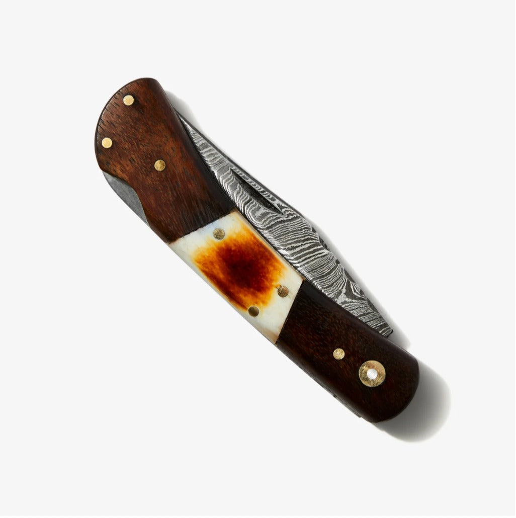 Walnut & Torched Bone Damascus Pocket Knife - TF-118