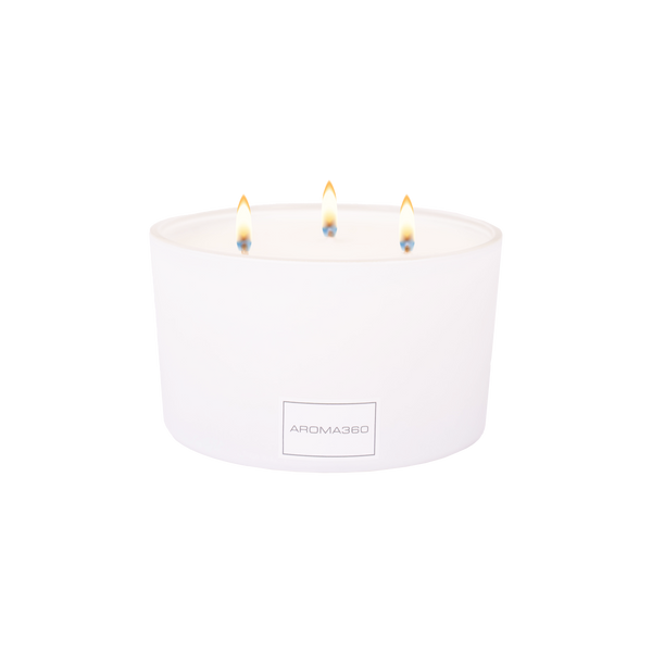 Déjà Vu 3-Wick Candle