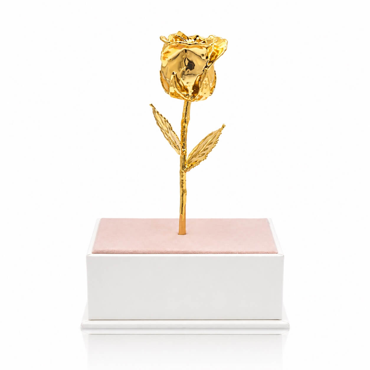 24K Gold Rose in Standing Clear Window Display Box | LovePicker