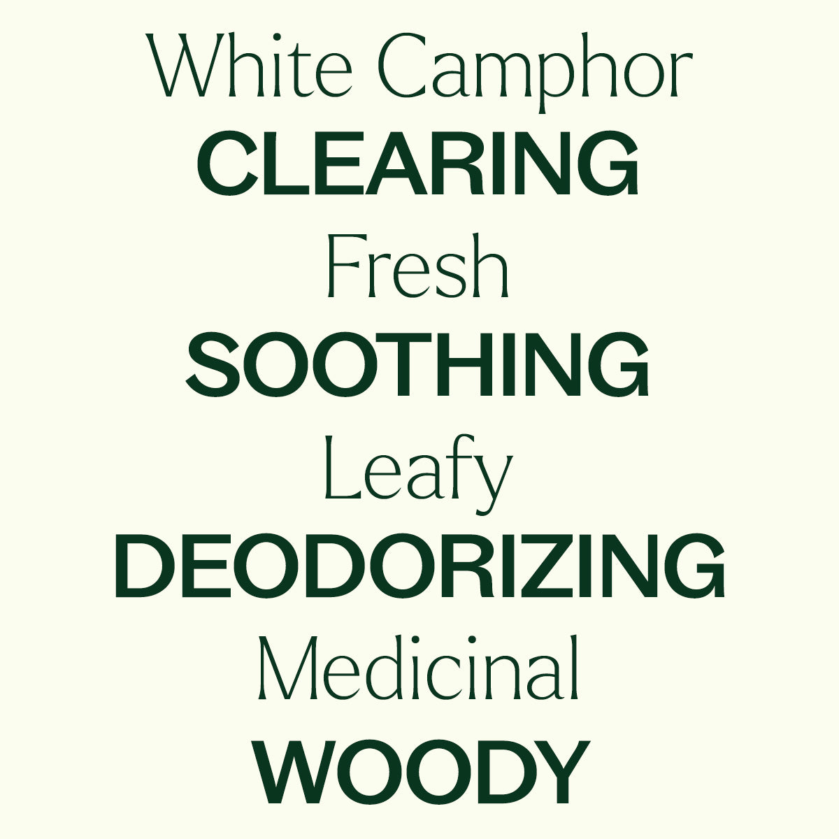 White Camphor Essential Oil