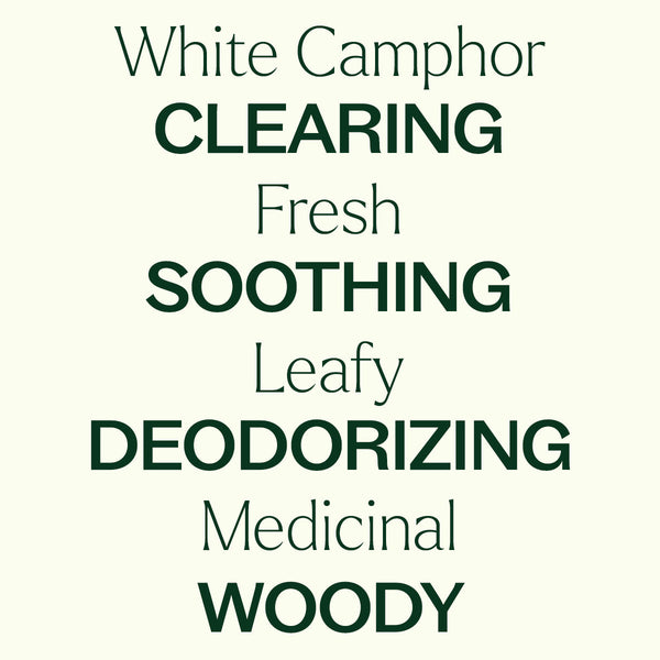 White Camphor Essential Oil