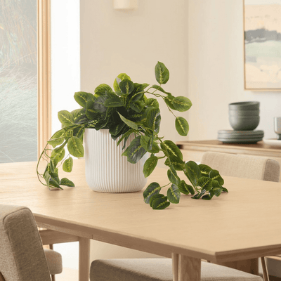Fluted Cylinder Planter (No Saucer)