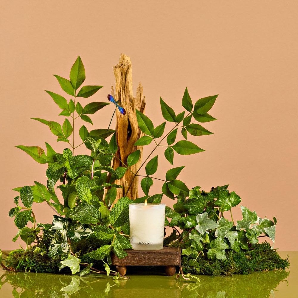 Wild Mint and Ivy Votive Candle