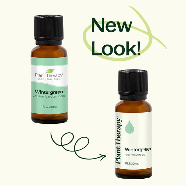 Wintergreen Essential Oil