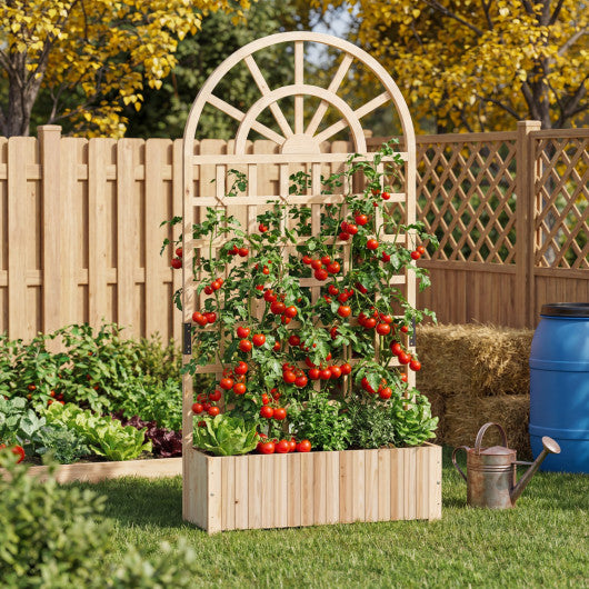 Wooden Raised Garden Bed with Trellis 71