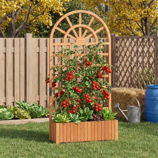 Wooden Raised Garden Bed with Trellis 71