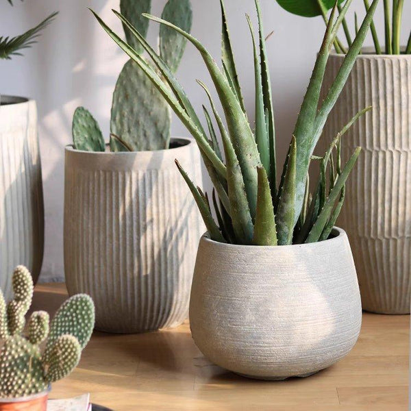 Rustic Globe Cement Planter