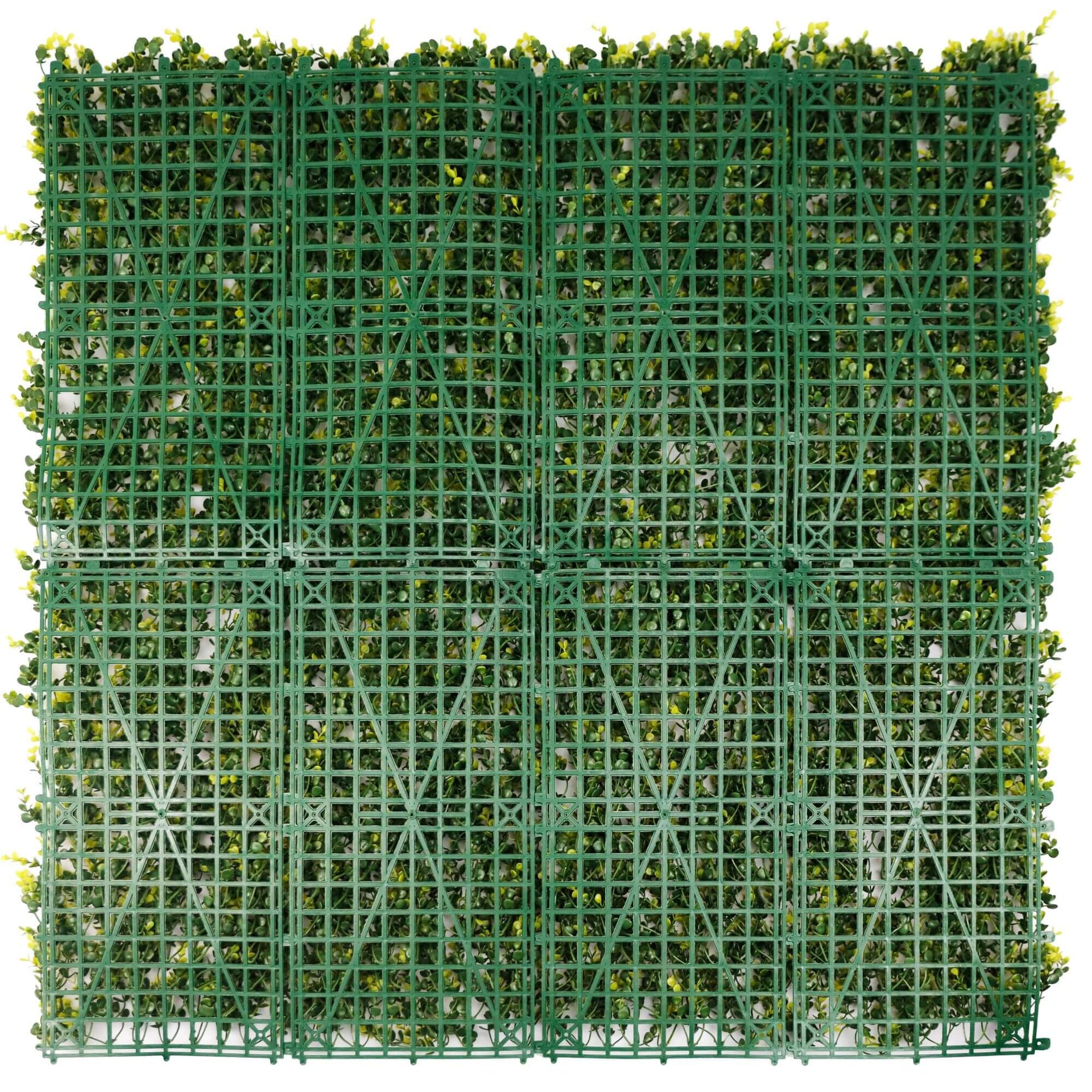 Sample Panel – Yellow English Boxwood Green Wall (Small Sample)