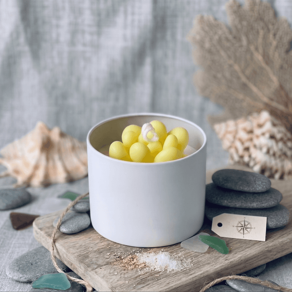 Yellow Pebble Succulent Candle