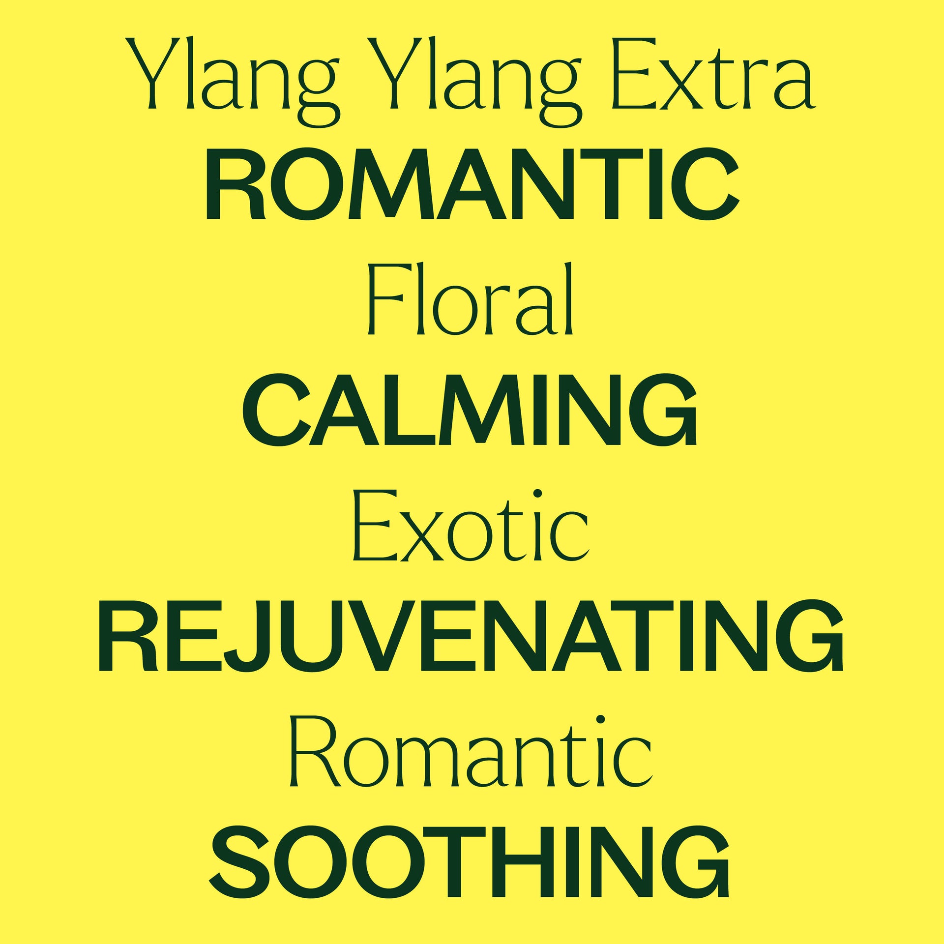 Ylang Ylang Extra Essential Oil