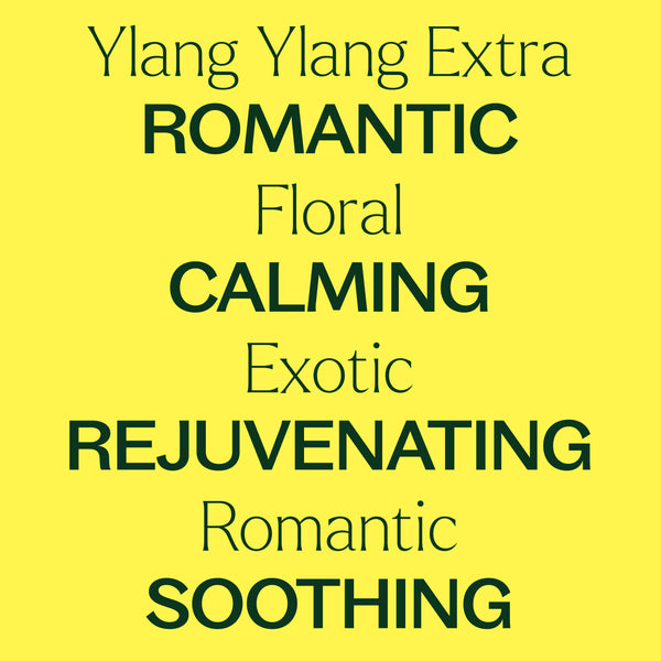 Ylang Ylang Extra Essential Oil