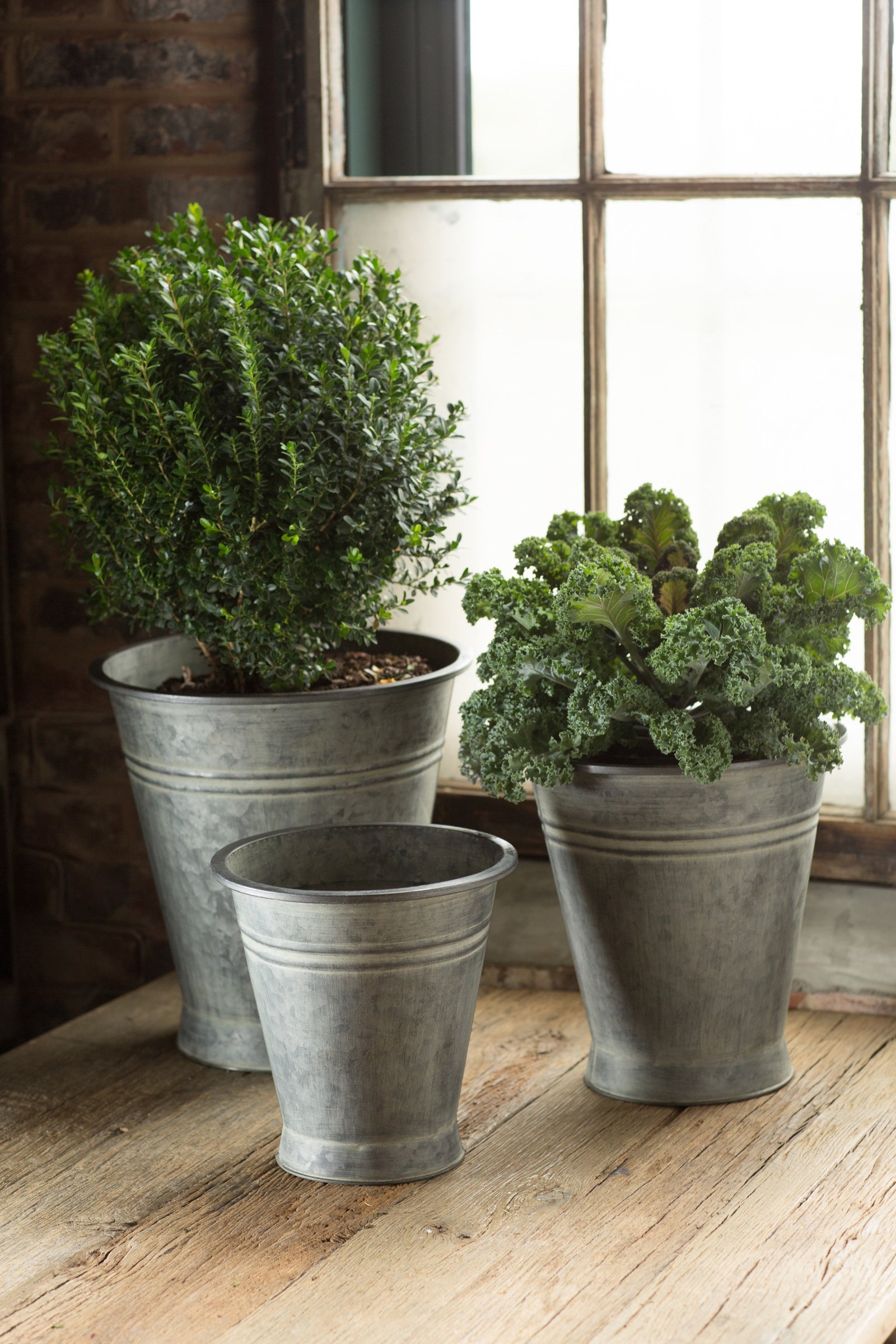 Metal Planters with Copper Finish - Set of 3